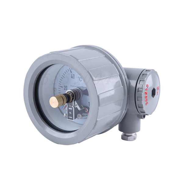 AnHui TianKang (Group)Shares Co.,Ltd Electric contact bimetal thermometer