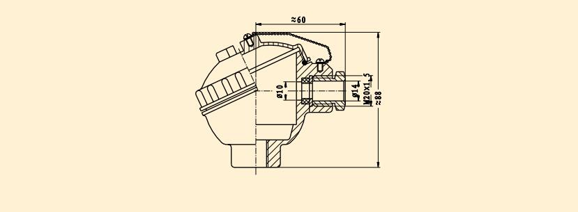 Thermocouple with Temperature Transmitter