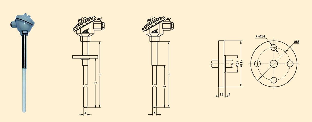 Anticorrosive Thermal Resistance RTD