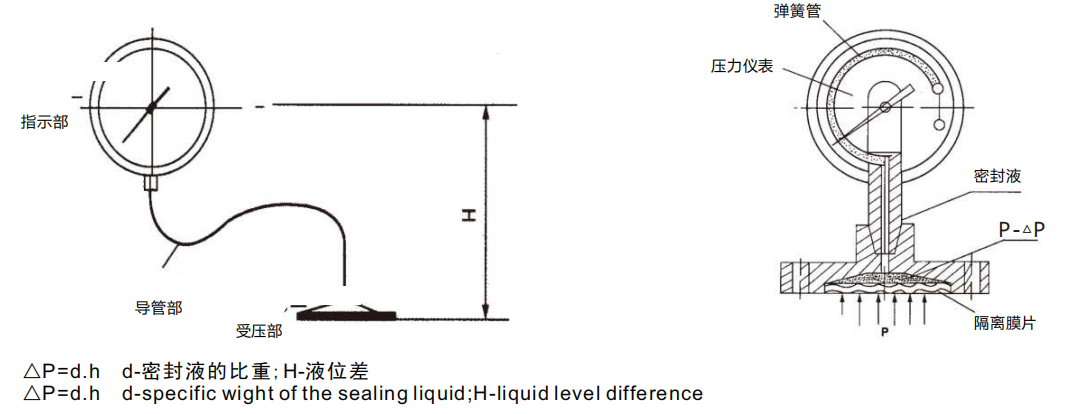 AnHui TianKang Diaphragm pressure gauge